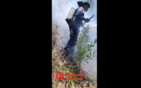 萨卡特卡斯森林大火烧毁1500公顷林地