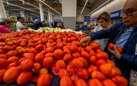 墨西哥四月通胀率降至4.45%