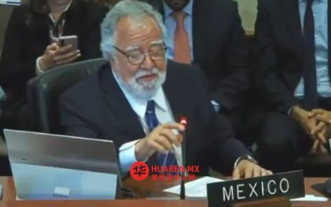 墨西哥要求美洲国家组织（OEA）在委内瑞拉实现“深刻变革”后，重新评估与该国的关系。