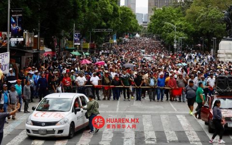 墨西哥小型商业协会呼吁国家电信委员会暂停网络封锁，避免影响民众与小微商户正常运营