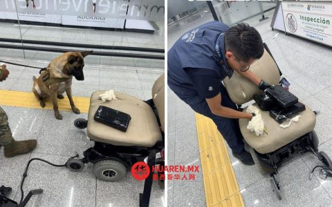 墨西哥城机场警犬查获8.8公斤可卡因，藏于轮椅内部