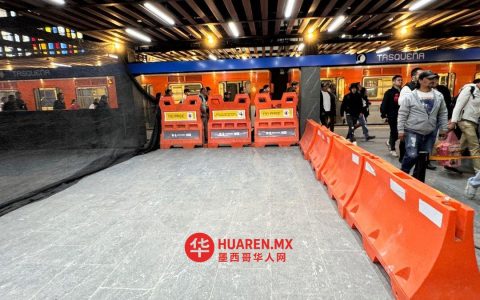 一名乘客在塔斯克尼亚地铁站遭蝎子蜇伤