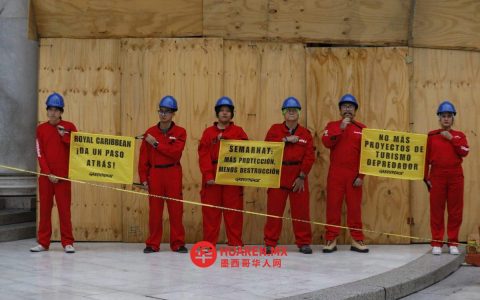 “Perfect Day”项目未获批准，Semarnat回应Greenpeace质疑