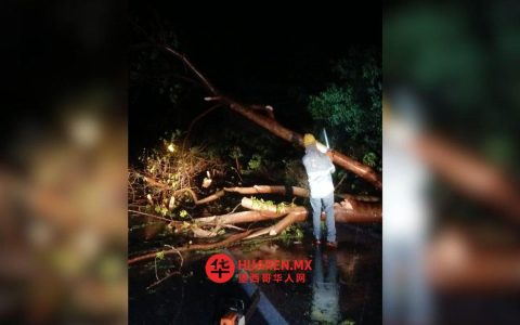 墨西哥萨卡特卡斯州五镇因强降雨受影响