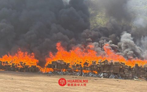 恩塞纳达查获12吨大麻被当众焚烧
