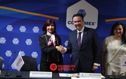 医疗保健是政府、社会与企业共同的责任：IP