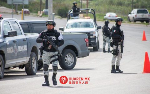 2026年4月，蒂华纳凶杀案受害者人数下降