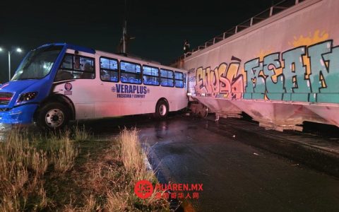 在韦拉克鲁斯，一列火车与客运卡车相撞，12人受伤