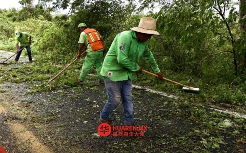 强风袭击新拉雷多，多地遭破坏