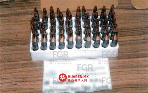 在塔毛利帕斯州，一名女性嫌犯因涉5000发可用子弹案被捕