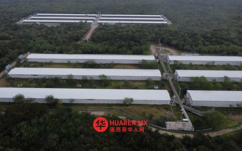 尤卡坦州多家组织呼吁最高法院批准养猪场监管法案