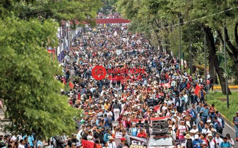 CNTE在世界杯前于会场设立国民代表大会
