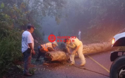 希达尔古省降雨致道路封闭受损