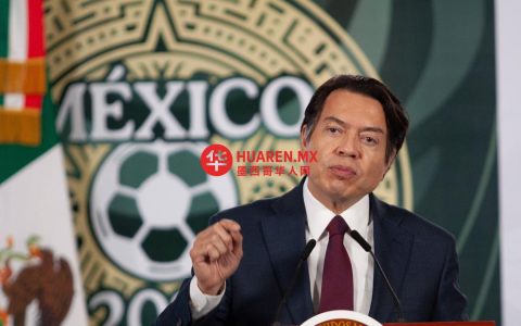马里奥·德尔加多批墨西哥教师工会损害世界杯形象